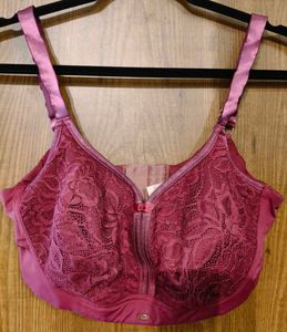 Elegant Lace Bra