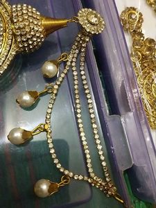 Exquisite Dangler Earrings