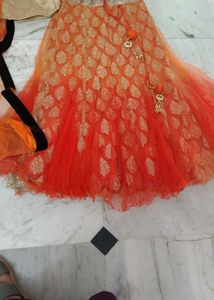 Elegant Lehenga Choli Set