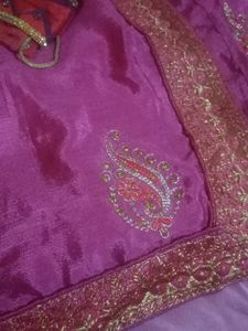 Beautiful Pink Saree with Red Blouse
