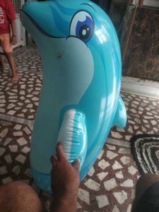 Inflatable Dolphin Toy