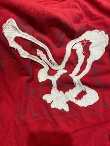 American Eagle vintage fit collar tshirt