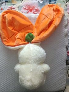 Cute Carrot Pouch plushie toy