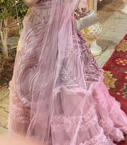 Stunning Pink Sequined Lehenga