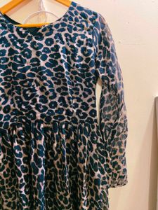 Animal Print Long Sleeve Dress