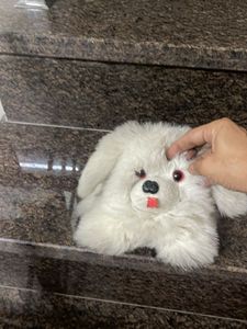 Adorable Plush Dog Toy