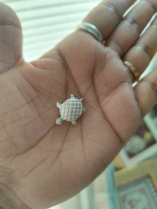 Pure Silver Lizard Nd Tortoise For Laxmi Pooja
