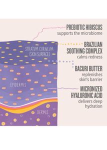 Sol de Janeiro DELICIA DRENCH Body Butter