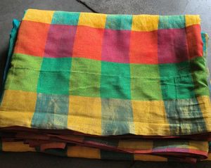 Vibrant Checked Saree