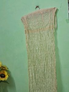 Sheer Embellished Dupatta Scarf of 1