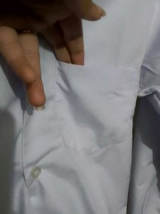 Classic White Button-Down Shirt