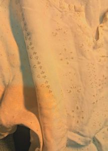 Elegant White Embroidered Kurti