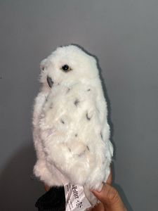 Hedwig Owl Harry Potter
