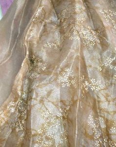 Beautiful Ethnic Lehenga Choli