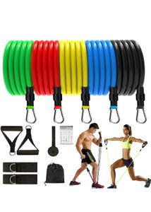 Resistance Bands Set for Home Workouts
