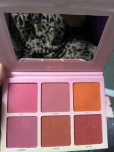 IMAGIC Touch Blush Palette