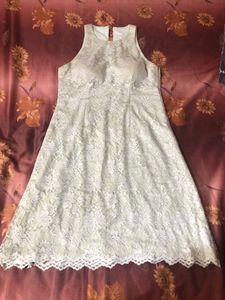Elegant Lace Dress