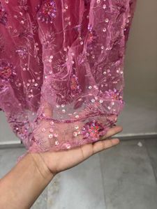 Pink Embroidered and wire work Skirt