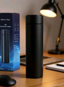 Smart LED Temperature Display Water Bottle