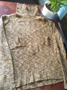 Turtle Neck Top