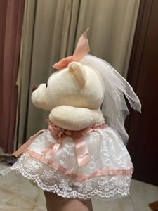 Cute Teddy Bear with Dress