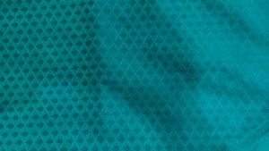 Teal Saree with Peacock Border