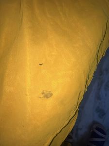 Chic Yellow Sundress with Koti (binding)