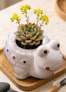 Premium Ceramic Turtle Planter Cute Desk Gift