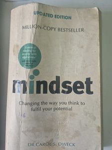Discover the Mindset for Achievin Success