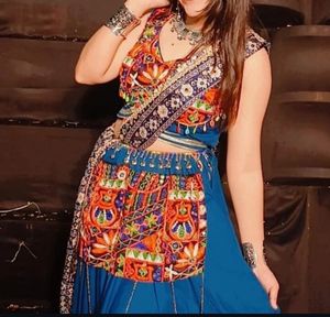 Embroidered Choli and Skirt Set