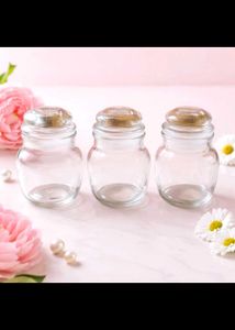 Set of 3 Glass Jars with Cork Lids