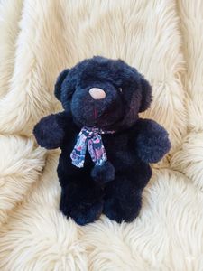 Black Teddy Bear Plush Toy