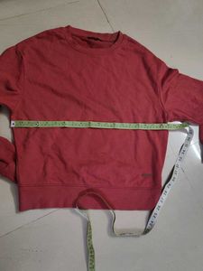 Roadster Casual Crewneck Sweatshirt