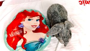 doll pillow and rabbit plushie combo