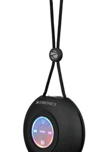 Zebronics Portable Speaker