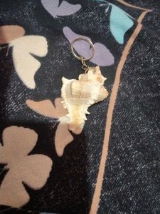 Seashell Keychain