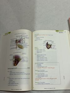 Anatomy Vol 1 &amp; Vol2