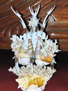 Seashell Figurine