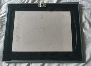 Framed Swan Lake Painting