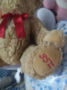 Cute Teddy Bear Plush Toy