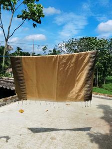 Elegant Beige & Black Woven Saree