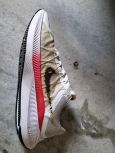 Nike Air Zoom Winflo 8 running shoes