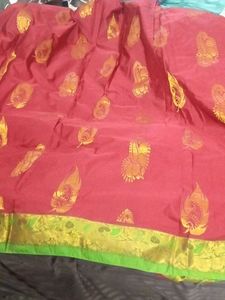 pattu saree vibrant red with gold border