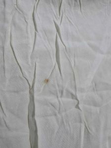 Comfortable Cream Wide-Leg Pants