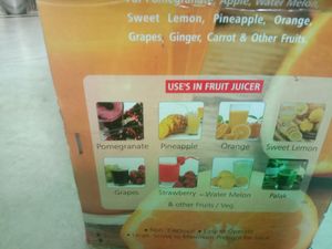 Fruit Juicer