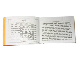 Bhagavad Gita Book with Commentary . code 16