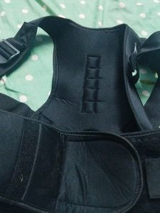 Back Support Belt