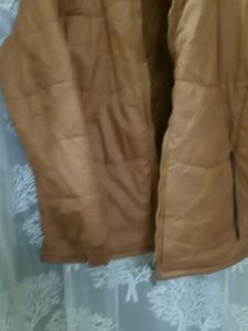 Winter Jacket