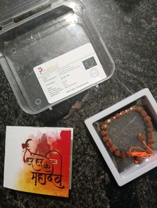 Natural rudraksha bracelet