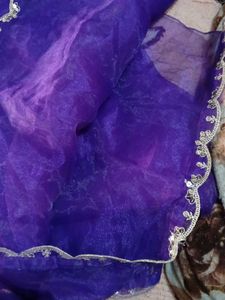 Embellished Dupatta Border